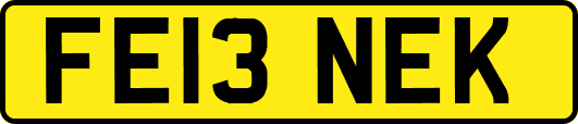 FE13NEK