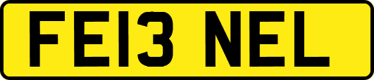 FE13NEL