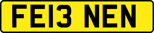 FE13NEN