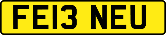 FE13NEU