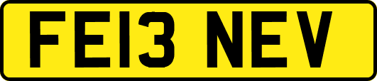 FE13NEV