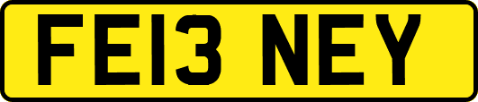 FE13NEY