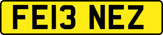 FE13NEZ