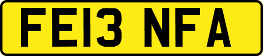 FE13NFA