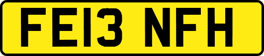 FE13NFH