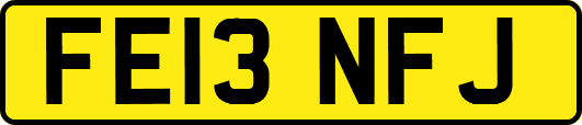 FE13NFJ