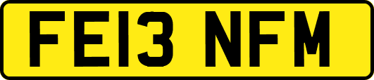 FE13NFM
