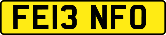 FE13NFO