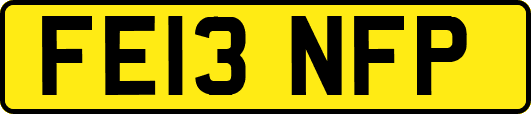 FE13NFP