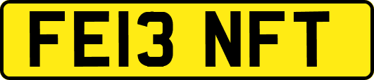FE13NFT