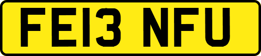 FE13NFU