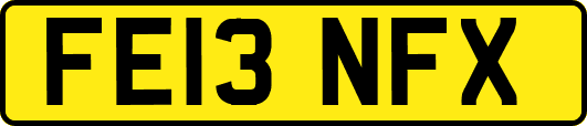 FE13NFX