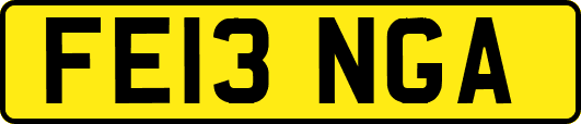FE13NGA