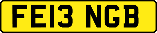 FE13NGB