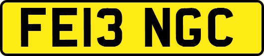 FE13NGC