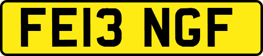 FE13NGF