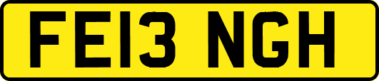 FE13NGH