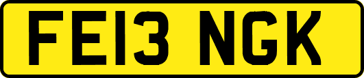 FE13NGK
