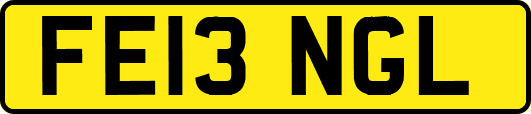FE13NGL