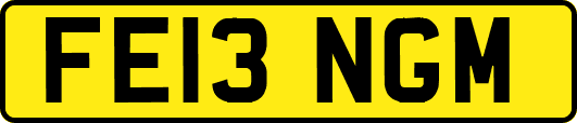 FE13NGM