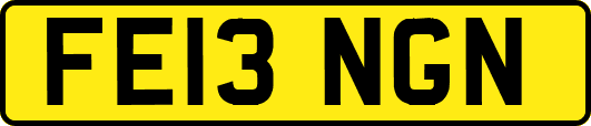 FE13NGN