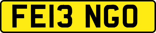 FE13NGO