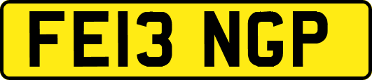 FE13NGP
