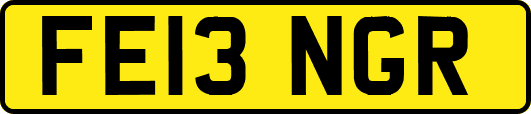 FE13NGR
