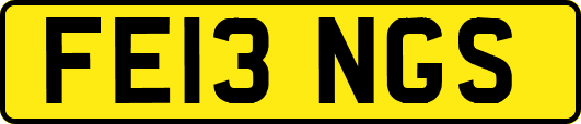 FE13NGS
