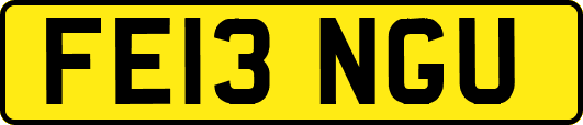 FE13NGU