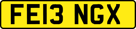 FE13NGX