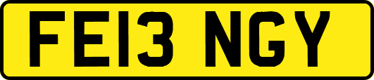 FE13NGY