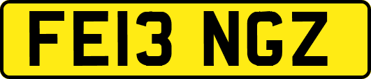 FE13NGZ