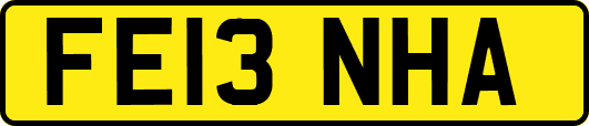 FE13NHA
