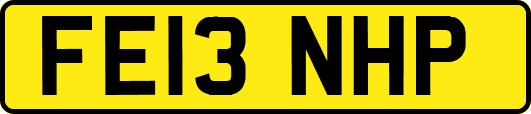 FE13NHP