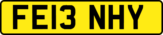 FE13NHY