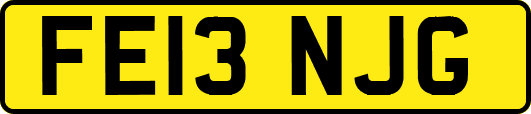 FE13NJG