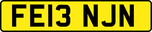 FE13NJN