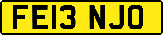 FE13NJO