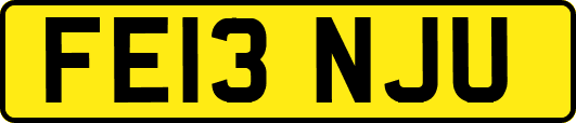 FE13NJU