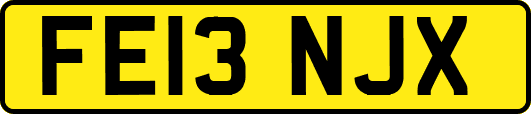 FE13NJX