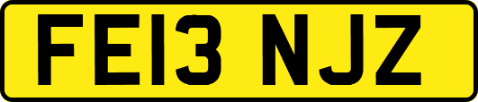 FE13NJZ