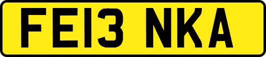 FE13NKA