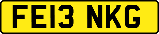 FE13NKG