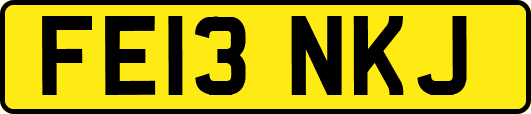 FE13NKJ