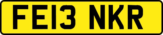 FE13NKR