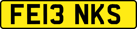 FE13NKS
