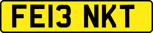 FE13NKT