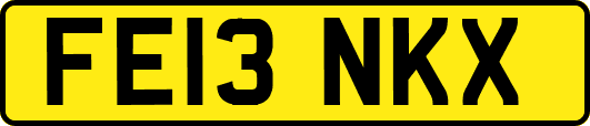 FE13NKX