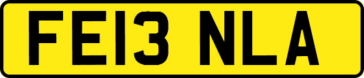 FE13NLA